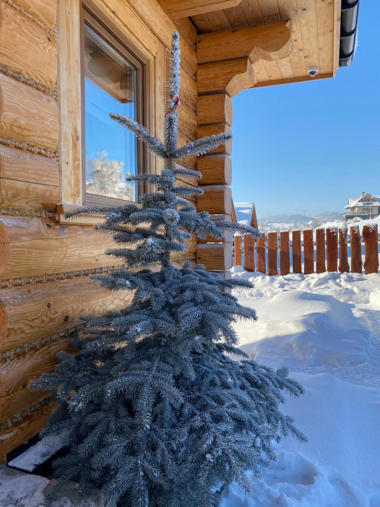 Zloty Gron Log Houses & Apartments Istebna Luaran gambar