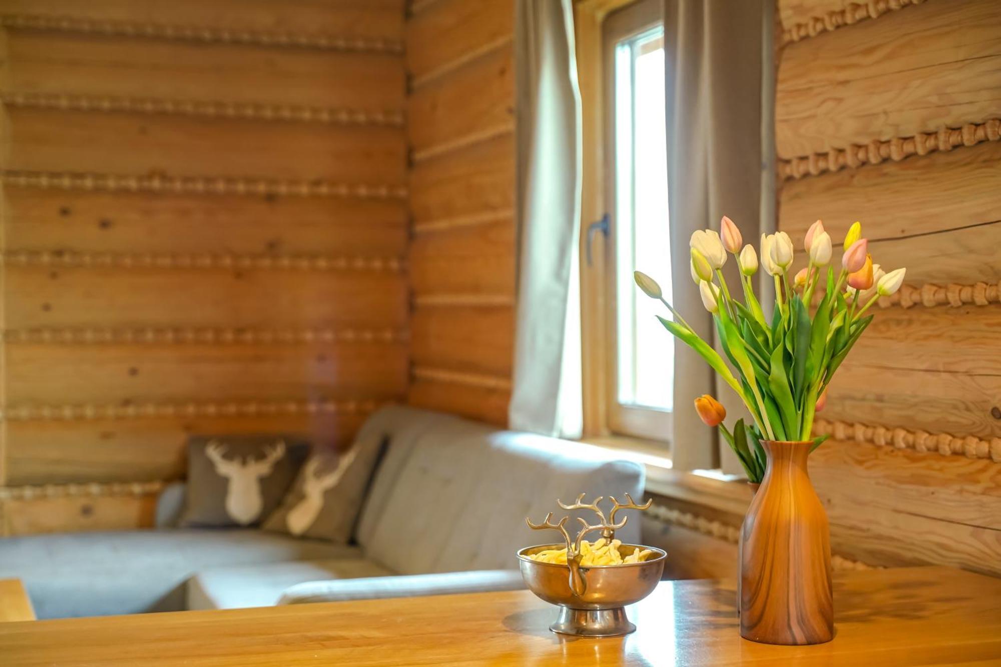 Zloty Gron Log Houses & Apartments Istebna Luaran gambar